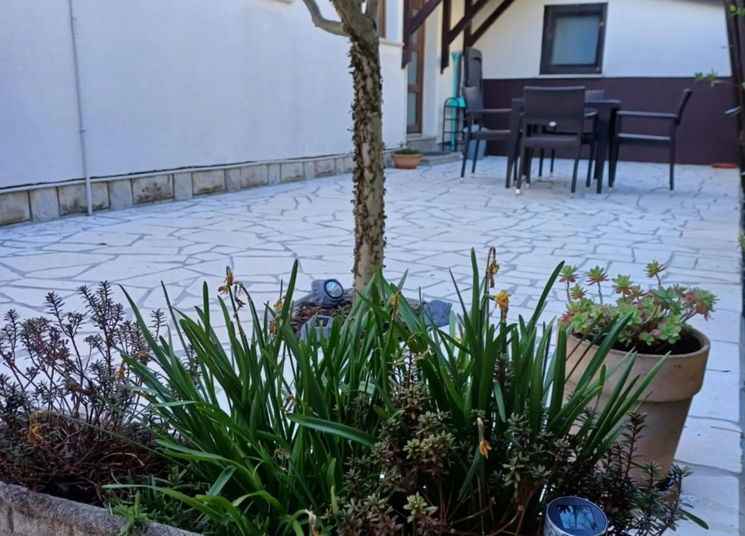 Apartments Grahovac Umag