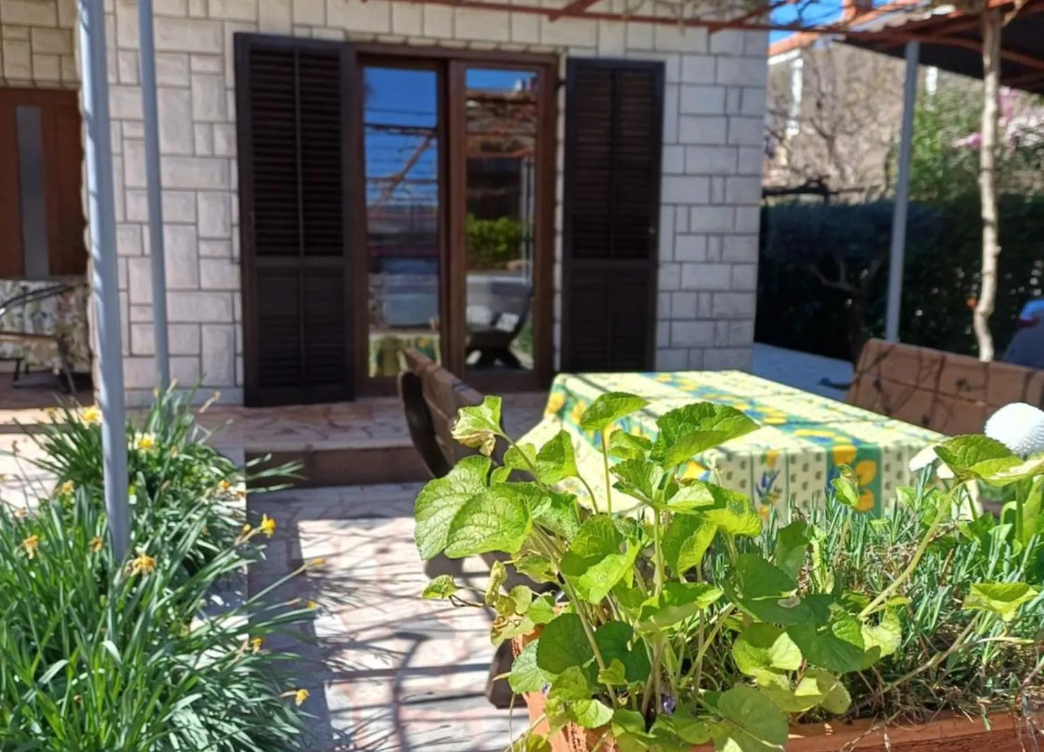 Apartments Grahovac Umag